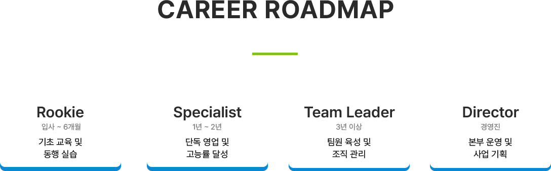 CAREER ROADMAP 